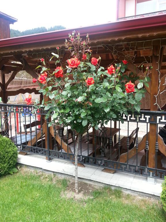 Family Hotel Yola TsTschepelare Exterior foto